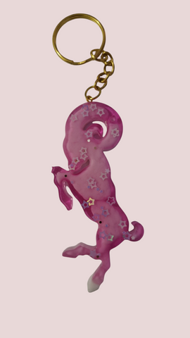 Capricorne
