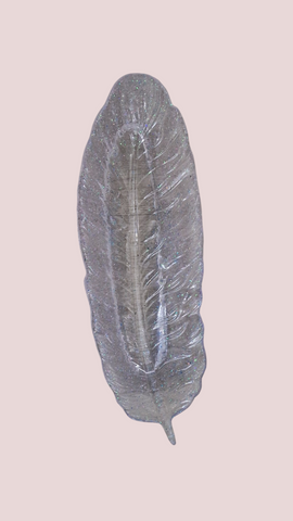 Vide poche feuille