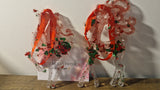 Duo de cerf