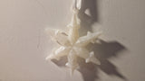 Moyen étoile